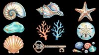 Nautical and ocean-themed collection featuring shells, starfish, coral, and vintage key isolated on transparent background. Ready for t-shirt designs, clipart, stickers, sublimation, and print-on-demand products.