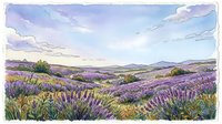Lavender field landscape with rolling hills, purple flowering plants, and soft sky with clouds, suitable for wall art, home decor, and nature-themed designs.