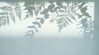 Soft botanical shadows cast by ferns and leaves on light surface creating natural organic pattern for spa wellness meditation backgrounds.