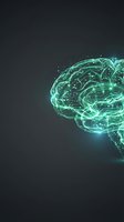 Digital brain with glowing green neural networks and circuit patterns on dark background for artificial intelligence and technology concepts.