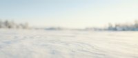 Soft blurred winter landscape with snow-covered ground and gentle rolling hills under pale sky creating peaceful minimalist background for seasonal designs.
