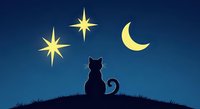 Black cat silhouette sitting on hill under starry night sky with crescent moon and stars, isolated on dark blue background for design use.