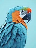 Vibrant blue and orange macaw parrot profile against light blue background showcasing detailed feather texture and distinctive curved beak in close-up portrait.