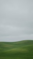 Rolling green hills with soft contours beneath an overcast sky, ideal for landscape backgrounds, environmental themes, and nature-focused design projects.