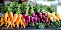 Fresh organic rainbow radishes and baby carrots with green tops arranged at farmers market display for healthy cooking and farm-to-table cuisine.