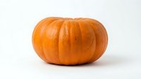 Orange pumpkin isolated on white background for autumn harvest decoration, Halloween design, thanksgiving crafts and seasonal cooking recipes.
