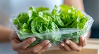 Fresh butter lettuce heads in plastic container held by female hands with neutral manicure. Clean eating and organic produce concept for healthy lifestyle.