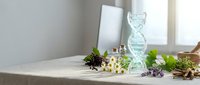 DNA double helix model with medicinal herbs and plants on wooden table for natural medicine research and pharmaceutical development.