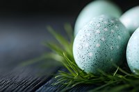 Speckled mint green Easter eggs nestled in fresh grass blades on dark wooden surface, soft focus background creates dreamy spring holiday atmosphere.