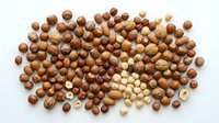 Mixed nuts collection with walnuts hazelnuts almonds and cashews scattered on white background for healthy snacking cooking baking recipes nutrition.