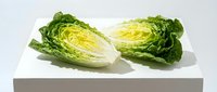 Fresh romaine lettuce hearts cut in half showing crisp green leaves and pale yellow center on white surface for healthy cooking and salad preparation.