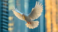 White dove with spread wings flying against urban skyscrapers background in warm sunset light, symbolizing peace, freedom and hope in modern city setting.