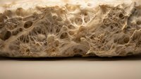 Close-up macro view of bread dough texture showing airy bubbles and porous structure during fermentation process for baking and culinary applications.