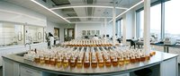 Rows of amber liquid samples arranged on laboratory bench in modern research facility with natural light and scientific equipment for chemical analysis and testing.