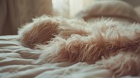 Soft fluffy faux fur blanket or throw in pastel pink color on unmade bed with morning sunlight creating cozy, warm atmosphere for lifestyle and interior design.