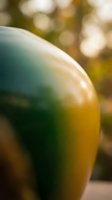 Closeup of a ripe mango with smooth green and golden yellow skin, soft natural sunlight creating warm bokeh background, tropical fruit photography for food and agriculture use.