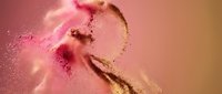 Woman with closed eyes and serene expression, mid-twenties, light skin tone, surrounded by exploding pink and gold powder particles in artistic motion against warm gradient background.