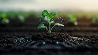 Young green plant seedling growing in fertile soil with digital wave circles and light effects, representing growth technology and agriculture innovation.