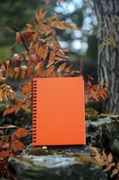 Orange spiral notebook on mossy rock surrounded by autumn foliage and bokeh light effects in forest setting, creating seasonal outdoor composition.