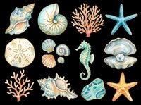 Watercolor sea shells, starfish, coral, and seahorse collection isolated on transparent background. Ready for t-shirt designs, clipart, stickers, sublimation, and print-on-demand products.