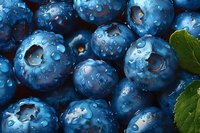 Fresh ripe blueberries with water drops macro photography. Natural organic berries with green leaves texture background perfect for healthy food design.