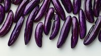 Fresh purple eggplants arranged in row on white background, organic vegetables pattern showing glossy skin texture and natural produce composition.