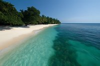 Pristine tropical beach with white sand and crystal clear turquoise water meeting deep blue ocean, lined with lush palm trees and vegetation against cloudless sky.