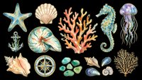 Watercolor ocean clipart set with seashells, starfish, seahorse, jellyfish, coral, anchor, and compass, isolated on transparent background for stickers, sublimation, and t-shirt design.