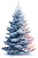 Elegant blue spruce tree with soft pink light reflection on white background, isolated for winter holiday designs and seasonal projects.