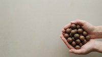 Caucasian hand holding multiple walnuts against neutral background, representing organic food, healthy nutrition, and sustainable snacking for culinary and wellness content.