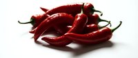 Red chili peppers isolated on white background, fresh spicy ingredients for cooking and food preparation.