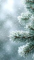 Frost-covered pine branches against soft blue winter background with gently falling snow creating magical seasonal atmosphere. Perfect for holiday designs.