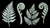 Watercolor fern leaves and fiddleheads set, isolated on transparent background. Ready for stickers, t-shirt design, print on demand, sublimation, and clipart use.