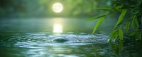 Tranquil water surface with gentle ripples reflecting bright moon in serene natural setting with green bamboo leaves creating peaceful zen atmosphere.