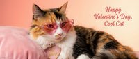 Adorable calico cat wearing heart-shaped sunglasses on pink cushion for Valentine's Day celebration. Perfect for romantic greeting cards and holiday designs.