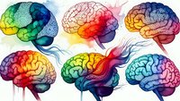 Colorful human brain anatomy illustrations with vibrant rainbow gradients showing neural networks and cognitive functions for medical education.