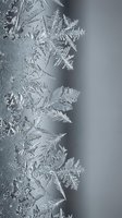 Delicate frost crystals forming intricate feather-like patterns on glass surface creating natural winter art with soft gray background for seasonal designs.