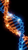 Glowing DNA double helix with orange and blue neon energy strands against dark background, representing genetic science, biotechnology, and molecular research for medical and educational use.