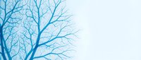 Blue bare tree branches against soft gray sky creating minimalist winter landscape composition for seasonal design projects.