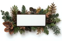 Winter holiday frame with pine cones, evergreen branches and eucalyptus leaves on white background. Natural forest elements surround blank white space for text.