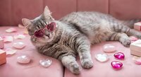 Adorable tabby kitten wearing pink heart-shaped sunglasses lying on soft pink fabric surrounded by rose petals and heart decorations for Valentine's Day.