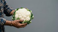 Fresh white cauliflower held in farmer's hands against gray background. Organic vegetable harvest for cooking, healthy eating, and agricultural marketing.