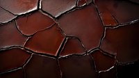 Dark brown cracked surface with deep fissures creating an organic pattern of irregular shapes, dramatic lighting highlights the textural details and depth of crevices.