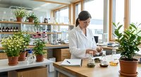 Female scientist in white lab coat working with plants and samples in bright modern laboratory with natural light and wooden shelves filled with botanical specimens.