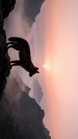 Rock climber silhouette scaling cliff face during golden hour sunset with dramatic mountain landscape and pink sky for adventure sports content.
