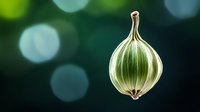 Fresh green gooseberry on dark background with bokeh lights, macro photography showing detailed texture and translucent skin of single berry.
