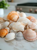 Collection of natural seashells in white and orange tones arranged on marble surface, showing variety of scallop shells and coastal textures. Perfect for beach decor.