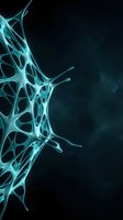 Abstract cyan neural network structure with organic branching patterns on dark background for science and technology designs.