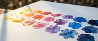 Watercolor paint palette with vibrant mixed colors on textured paper, artistic supplies for creative projects and painting techniques.