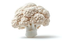 Fresh cauliflower head with dense white florets and stem isolated on white background, ready for healthy cooking and food photography.